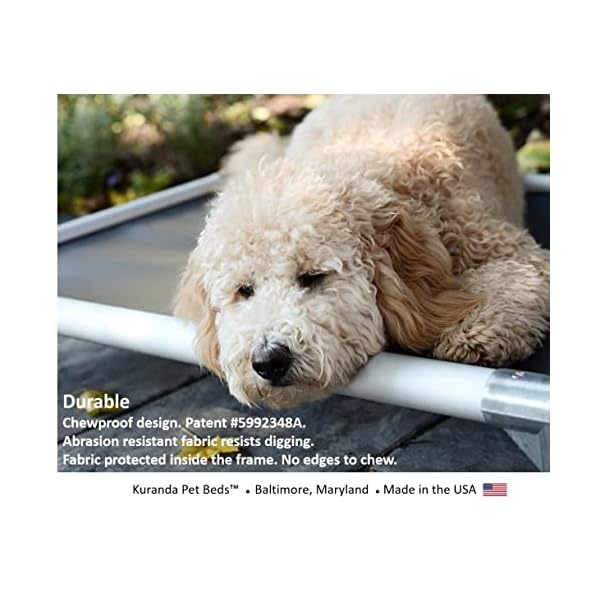 Kuranda All-Aluminum Chewproof Dog Bed – XXL (50×36) – 40 oz. Vinyl – Forest Green Kuranda All-Aluminum Chewproof Dog Bed – XXL (50×36) – 40 oz. Vinyl – Forest Green