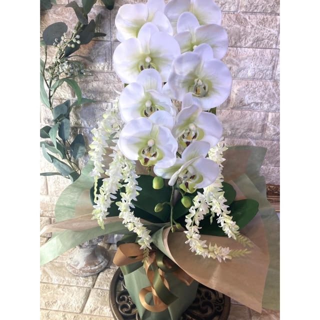 光触媒　人工観葉植物　ウォールグリーン　フェイク　フラワー　リアル胡蝶蘭wg Amazon.co.jp: 光触媒 人工観葉植物 ウォールグリーン フェイク