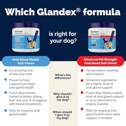 Image of Vetnique Glandex Anal Gland Soft Chew Treats with Pumpkin for Dogs Digestive Enzymes, Probiotics Fiber Supplement for Dogs Boot The Scoot (Bacon Flavor Chews, 60 Count)