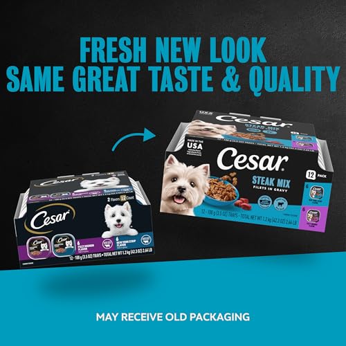 Image of Cesar Filets in Gravy Wet Dog Food, Steak Mix Variety, 3.5 oz, 12 Count | Filet Mignon & New York Strip, real beef, slow-cooked, no fillers /added sugar /artificial flavors, easy peel trays