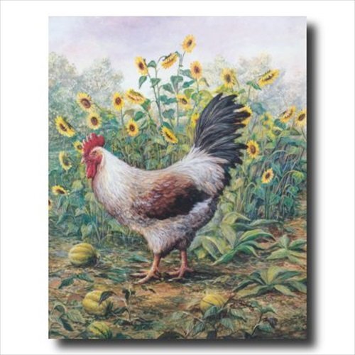 Rooster Chicken Sunflower Animal Wall Picture 16x20 Art Print