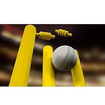 クリケット　セット ZX limited edition – Procricketshop