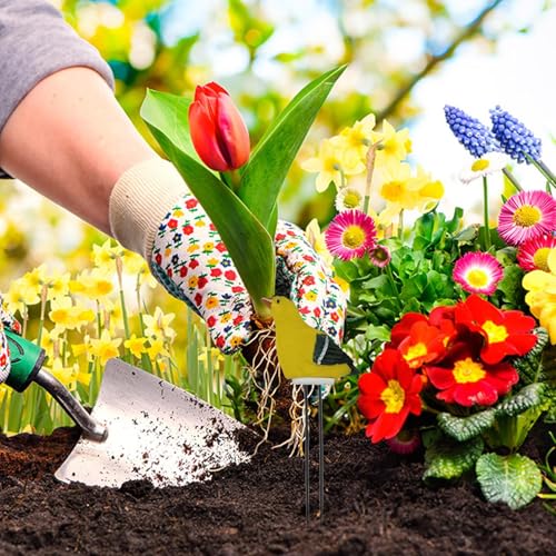 y냁[^[ K[fjOp, ^A, g₷Axv vX`bNK[ffR[V ʎ _ Ő _  ~ A