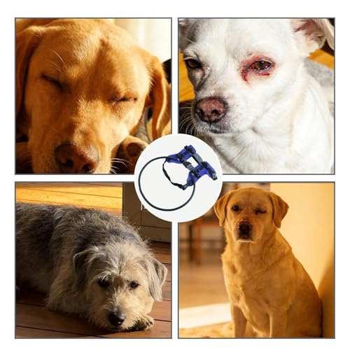 Harnais Halo pour chiens aveugles et chats avec support de poitrine