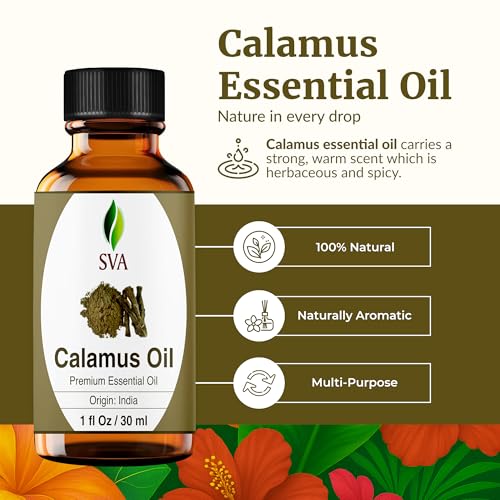 Image of SVA Calamus Essential Oil - 1 Fl Oz - 100% Natural Calamus Oil - for Diffuser, Hair Care, Face, Skin Care, Aromatherapy, Scalp and Body Massage, Soap and Candle Making - with Dropper