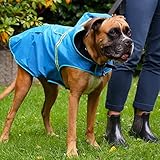 Bella & Balu Hunderegenmantel - Wasserdichter Hundemantel mit Kapuze und Reflektoren für trockene, sichere Gassigänge, den Hundespielplatz und den Urlaub mit Hund (XS - Orange)
