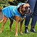 Bella & Balu Hunderegenmantel - Wasserdichter Hundemantel mit Kapuze und Reflektoren für trockene, sichere Gassigänge, den Hundespielplatz und den Urlaub mit Hund (XS - Orange)
