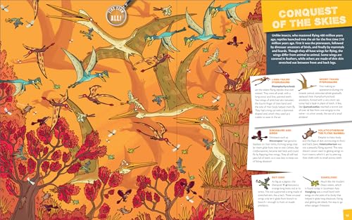 Image of Seek & Find - Dinosaurs (Seek and Find)