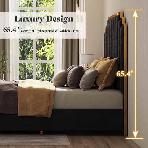 Image of AMERLIFE California King Size Upholstered Bed, Modern Velvet Bed Frame with 65.4 inch Tall Gold Trim Headboard, No Box Spring Needed, Black