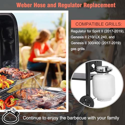 Feikeer Mangueira Weber 67069 atualizada 63,5 cm QCC1 Kit de mangueira e regulador, compatível com S