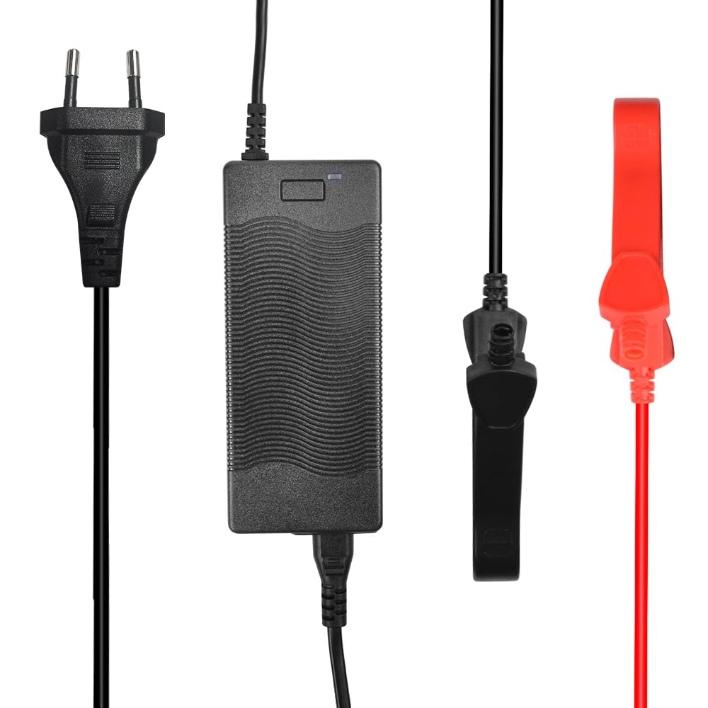LiFePO4 Batteria 24 V 30 Ah 720 Wh al litio ferro fosfato batteria per campeggio barca