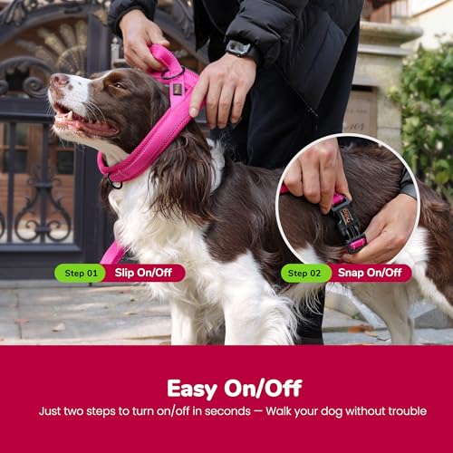 Image of Didog No Pull Dog Harness for Small Dogs, Breathable Mesh Padded,Hot Pink,S | Quick Fit, Easy On and Off, Lightweight, Reflective Vest Harness for Night Safty, Easy for Walking and Training, Chest 18-22 inch
