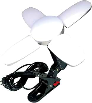 51PnZZgWAuL._AC_UF350, 51PnZZgWAuL._AC_UF350,