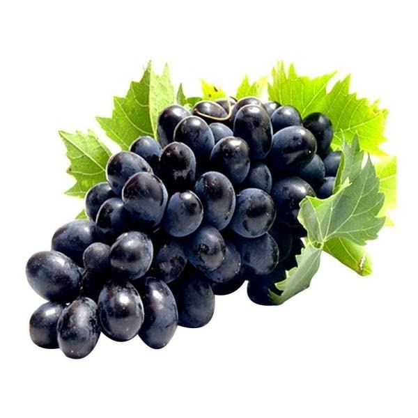 Image of Fresh Grapes Sharad Seedless,Fresh,500 Gram