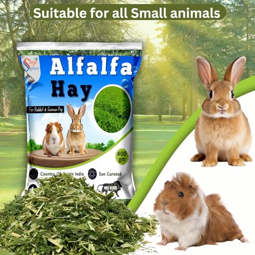 Image of Sage Square Alfalfa Hay - Protein, Calcium-Rich Hay for Rabbits, Guinea Pigs, Hamsters & Small Animals | Supports Growth, Healthy Teeth, Digestion | Sun-Dried, Hand-Selected Alfalfa Feed | 400 gm
