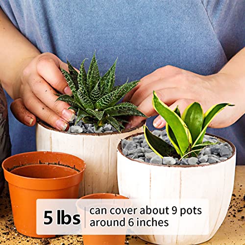 Image of YISZM 5LB Succulent and Cactus Gravel Pebbles, 1 /5 Inch Natural Decorative Polished Stones, River Rocks for Plants, Vases, Aquariums, Terrarium and Outdoor Gardening,Grey