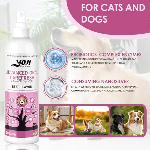 200ml Zahnpflege Spray für Hunde & Katzen,beugt Zahnstein & Mundgeruch,Für frischen Atem,effektive Zahnreinigung,einfach anzuwenden ohne Bürste