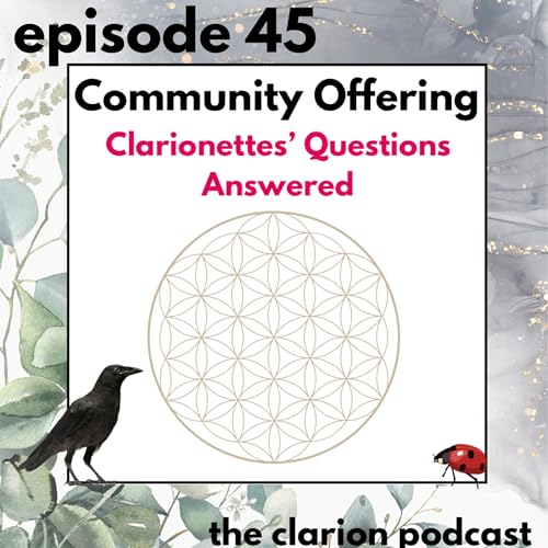 45. Community Episode - How Undefined centres move from a negative restraint process to a flow state