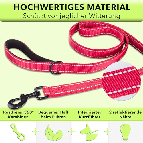 AVANA Hundeleine mit integriertem Kurzführer reflektierende Leine | 2 handschonende gepolsterte Handschlaufen | 1,5 Meter Führleine für große und mittelgroße Hunde - Rot