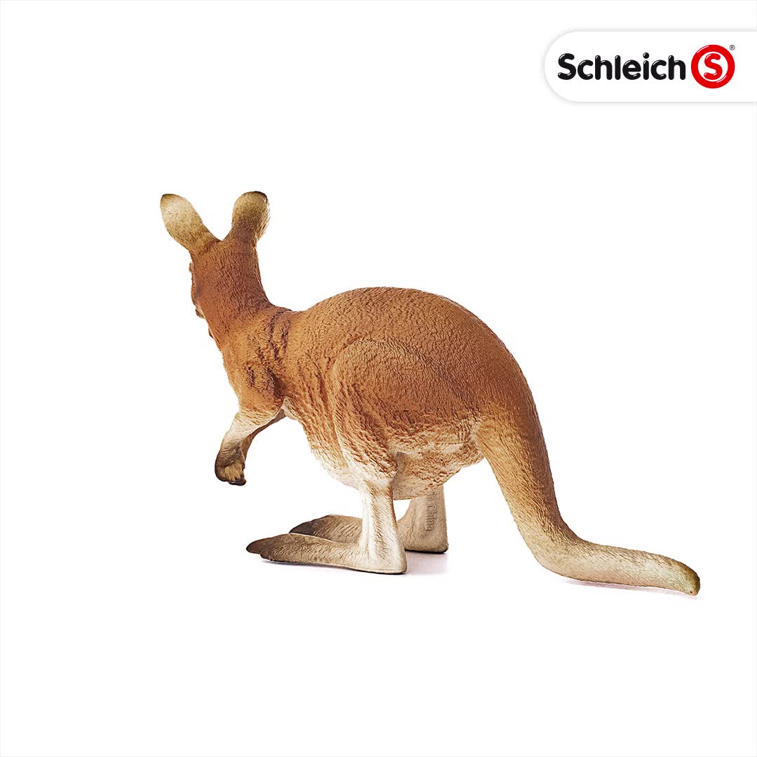 シュライヒ ワイルドライフ カンガルー フィギュア 14756 ggw725x Amazon.co.jp: シュライヒ ワイルドライフ カンガルー