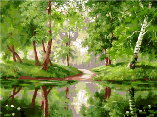Peinture au diamant 5D ruisseau des bois broderie diamant carré 30x40 cm