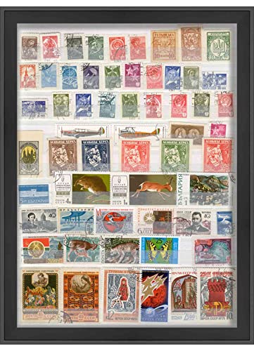 18x26 Black Shadow Box Frame - Shadow Box Frame Interior Size 18x26 by 1 Inches Deep - Black Frame is Made to Display Items Up to 1 Inches Deep! Includes Shatter Resistant Acrylic, Backing, Hardware