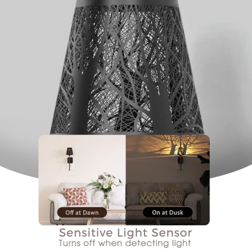 Image of Briignite Plug in Night Light Dimmable Metal Crafted Night Light 3000K Warm