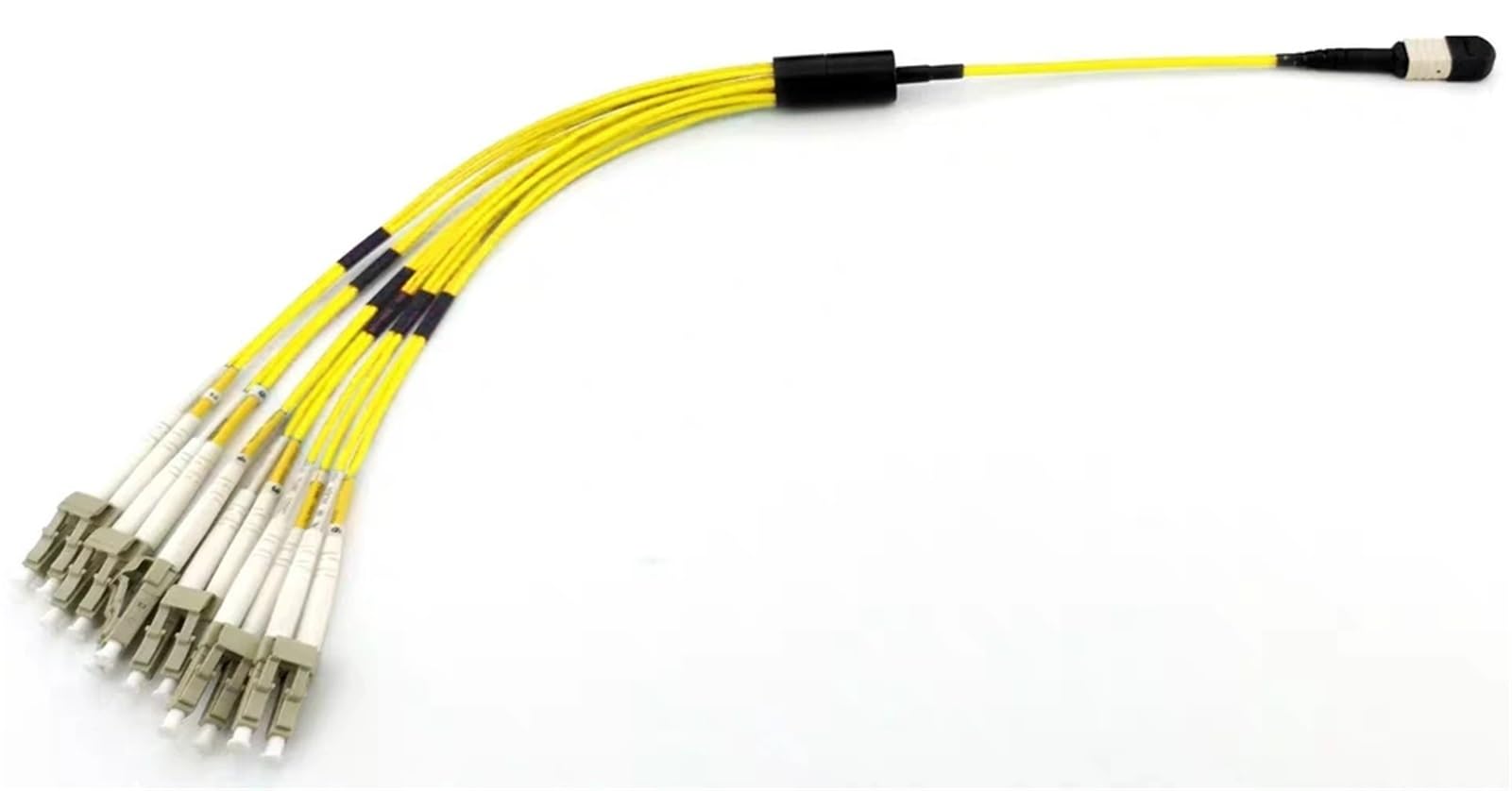 12 Core 1 Meter Jumper cavo in fibra ottica (SM entro 0.7dB)