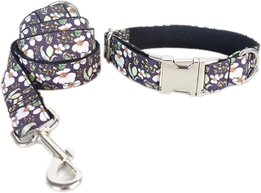 e collari per piccole medie imprese