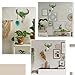 alikiki Bull Skull Head Wall Decor - Succulent Flowers Resin Cow Horn Southwestern Wall Hanging 3D Animal Sculpture Crafts Western Boho Decor for Bedroom Living Room