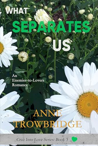 What Separates Us: An Enemies-to-Lovers Romance (Cruz Into Love Book 3)