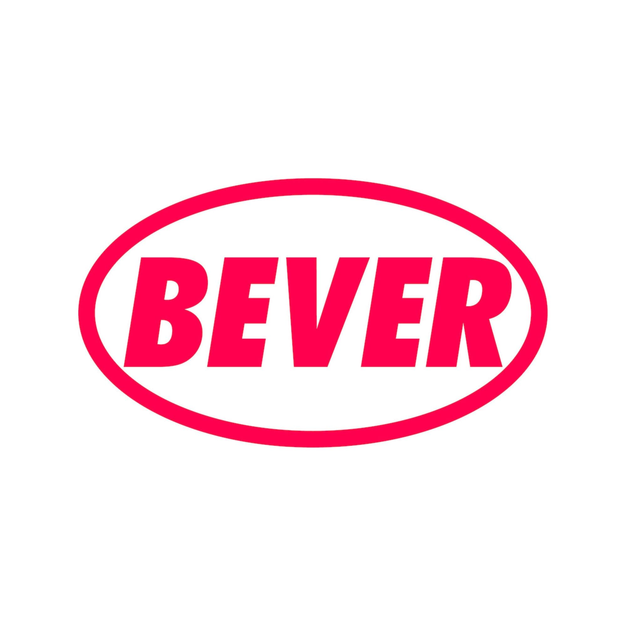 BEVER E-Türöffner 500 mit Flachschließblech 5-8V