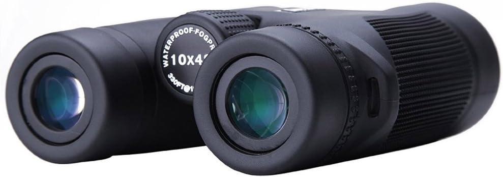 Goodeny Asika W1 10x42 Waterproof Binoculars BAK4 Phase Coated Roof Prism