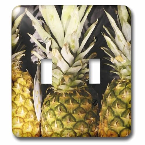Perche à Ananas double interrupteur à bascule pour salon exotique