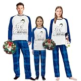 iHapHap Plus Size Funny Christmas Family Matching Pajamas Sets How Snowflakes Are Really Made Blue Adult Pajamas Sets(3XL,Dad)