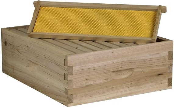 NuBee Starter 10 Frame Beehive Kit - Includes 1 Hive Body, 1 Super Box, Pine Frames, Wax Coated Foundations and More