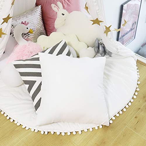 18 x 18 Inch Pillow Inserts (Set of 2), HIPPIH Decorative Throw Pillow Inserts, Hypoallergenic Square Pillow Form Insert, Upgraded