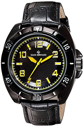 Giani Bernard GB-110B