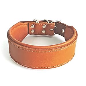Bestia “Classic Padded Leather Dog Collar. Hand Made in Europe. Up to 2 inch Width, 100% Leather, 7 Sizes