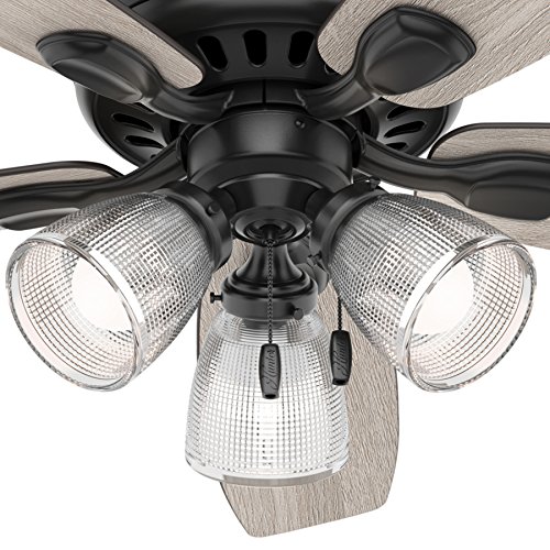 Hunter 52 Inch Matte Black Finish Contemporary Ceiling Fan With Light Kit (Renewed) #TOP2