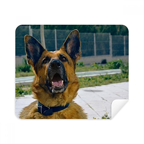 Chiffon de nettoyage doux en tissu suède pour lunettes et écrans photo beau chien 2pcs