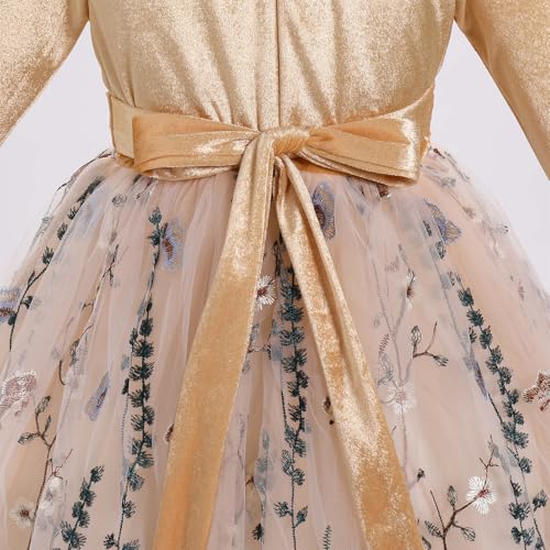 Toddler Flower Girl Dress Girls Fall Winter Long Sleeve Velvet Floral Embroidery Tulle Tutu Dress Birthday Party Dress3