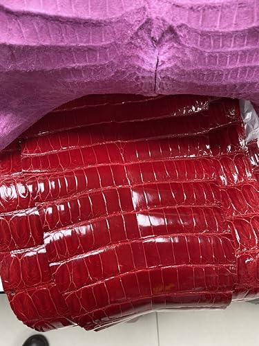 For Hasselblad �n�b�Z���u���b�hEL�V���[�Y500EL�E500E/LM�E500ELX�E553ELX�E555ELD�J�����p�����{�v�E���j�v�X�L���A�����̐F�E�����x�E�v���J�b�g�E�������܂ށA�\��t�����֗� (�ԐF, 500E/LM)