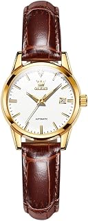 Watches for Women Automatic Mechanical Leather Strap, Classic Elegant Ladies Wrist Watch Small Face Luminous Waterproof with Date