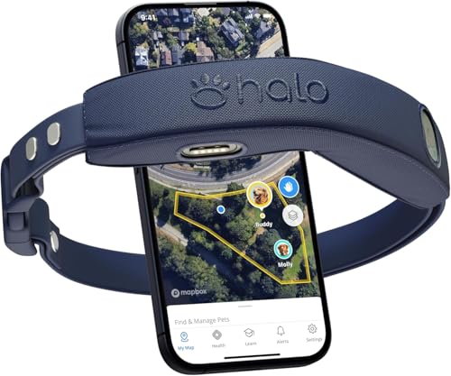 Halo Collar 4 Wireless Dog Fence & GPS Dog Collar, Keep Your Dog Safely Contained Outdoors with App-Controlled Boundaries and Real-Time Tracking, One Size, Midnight