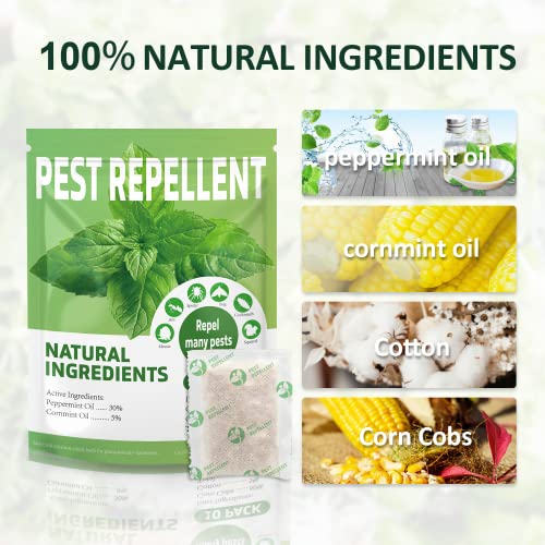 Oyhomop Natural Mouse Repellent, Mice Repellent Indoor And Outdoor, Peppermint Oils Rat Repellent For Repel Rodents Squirrels Ant Spider Mice Rats Other Pests, 10 #TOP1