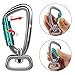 PANDENGZHE Locking Carabiner Clip 2.5