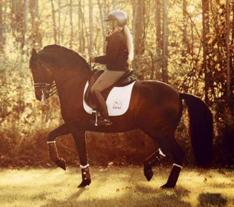 Image of Dressage Sport Boots Dressage Sport Boot, Color: Black, Size: S (DSBSB)