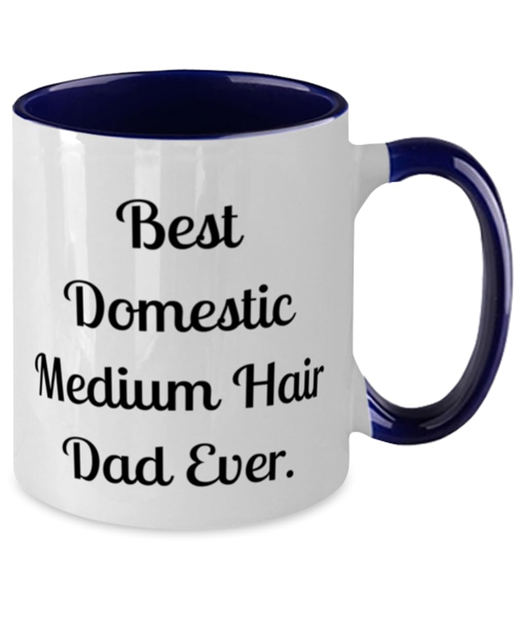 Best Domestic. Domestic Medium Hair Cat Two Tone 11oz Mug, Best Domestic Medium Hair Cat Gifts, Cup For Cat Dad from Friends, Domestic medium hair cat cup gift ideas, Domestic medium hair cat cup