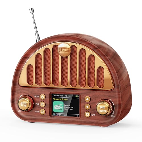 Mesqool Tragbares DAB+/UKW Radio Retro Radio mit Bluetooth 5.0 Nostalgie Radio Klein mit 3000mAh Akku und Farbdisplay EQ-Soundeffekt 80 Voreinstellungen TF/AUX Anschluss Doppelwecker